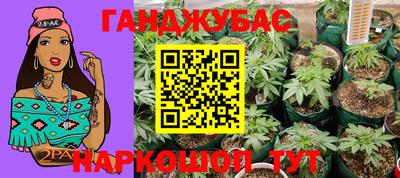 прущие грибы Будённовск