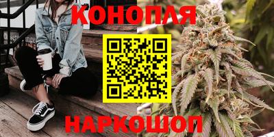 прущие грибы Будённовск