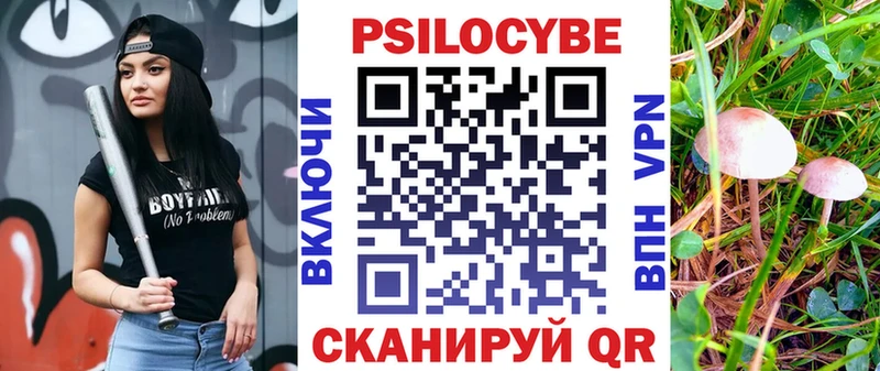 KRAKEN ссылка  Дивногорск  Галлюциногенные грибы Psilocybe 
