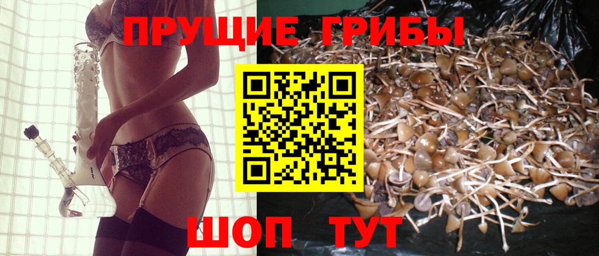 Дивногорск  Галлюциногенные грибы MAGIC MUSHROOMS  Вход с VPN 